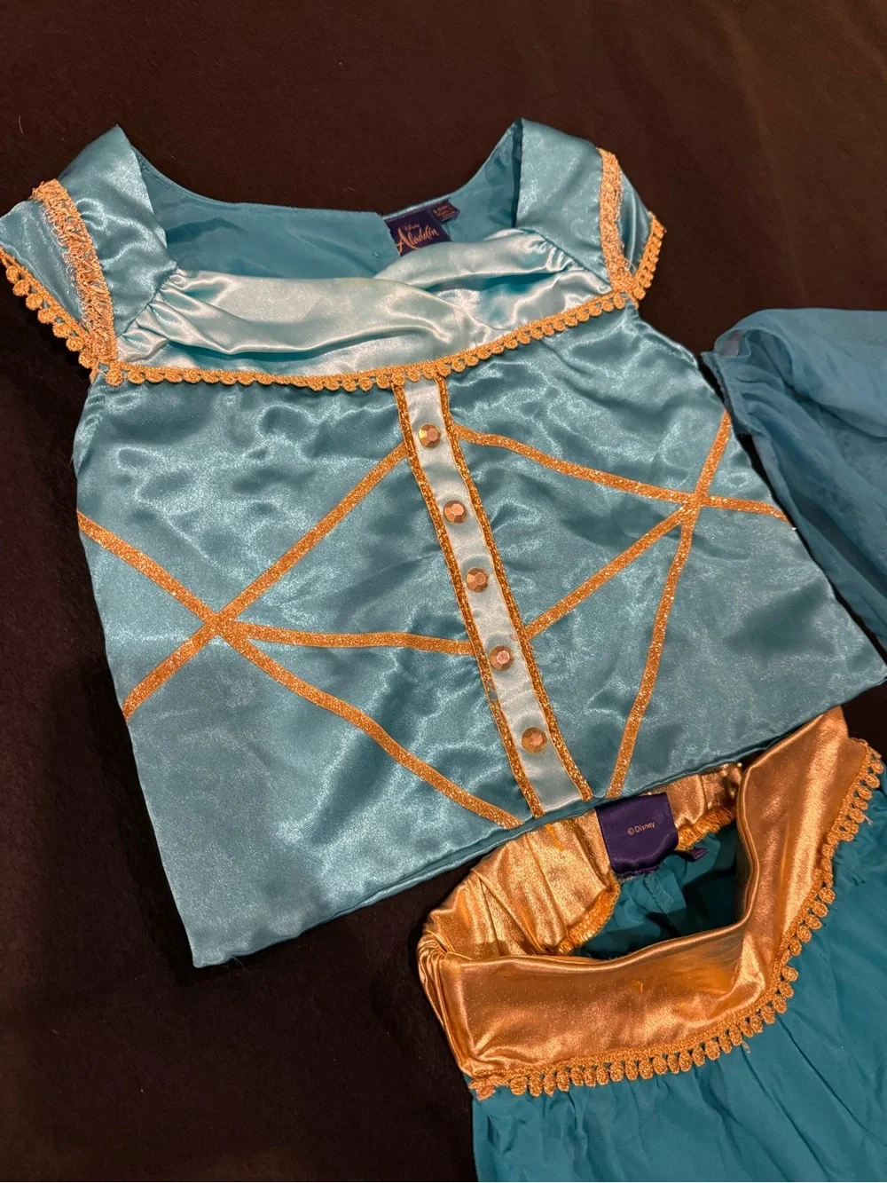 Disney Princess Jasmine Teal and Gold Peacock-Inspired Princess Costume